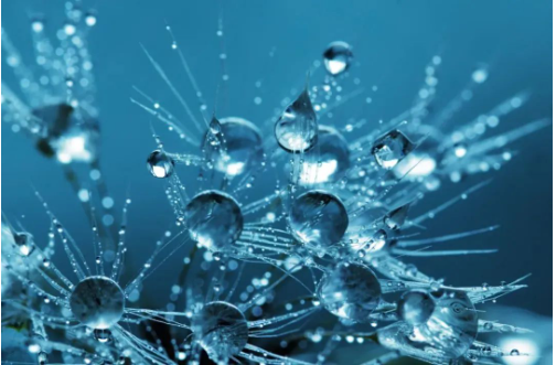 第三次生物技术革命，你准备好了吗？