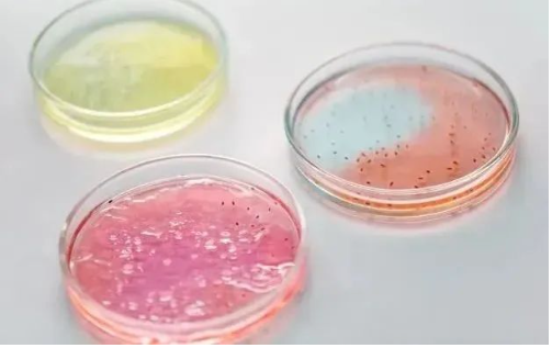 第三次生物技术革命，你准备好了吗？