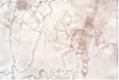 第三次生物技术革命，你准备好了吗？