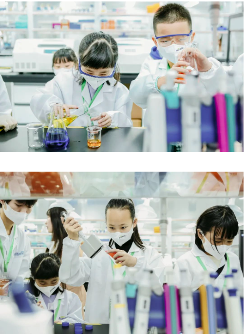 小小科学家探索合成生物新世界