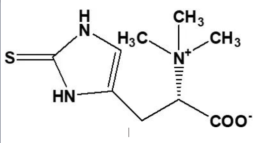 人间高质量抗氧化剂——麦角硫因
