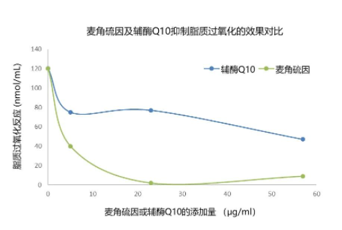 人间高质量抗氧化剂——麦角硫因