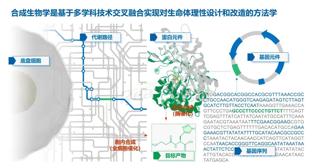 绿色科技 成人之美