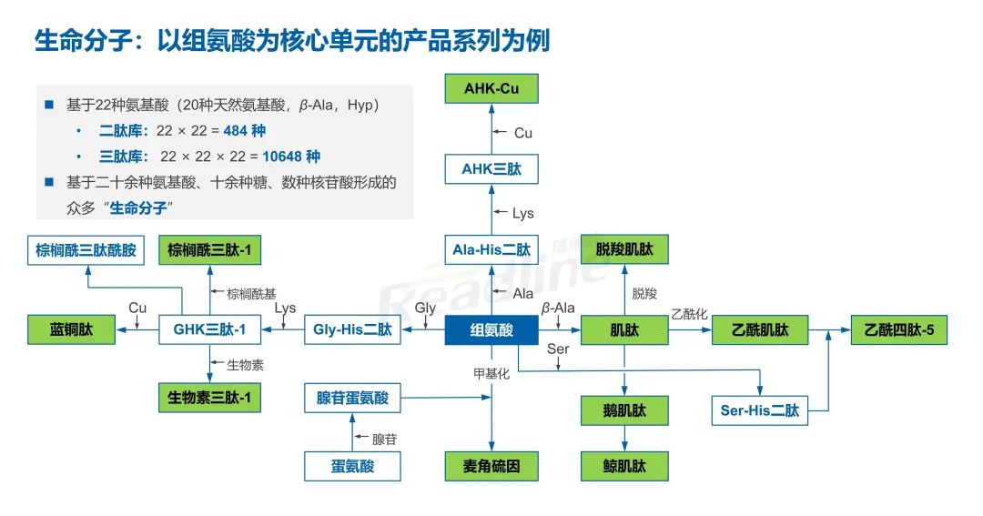 绿色科技 成人之美