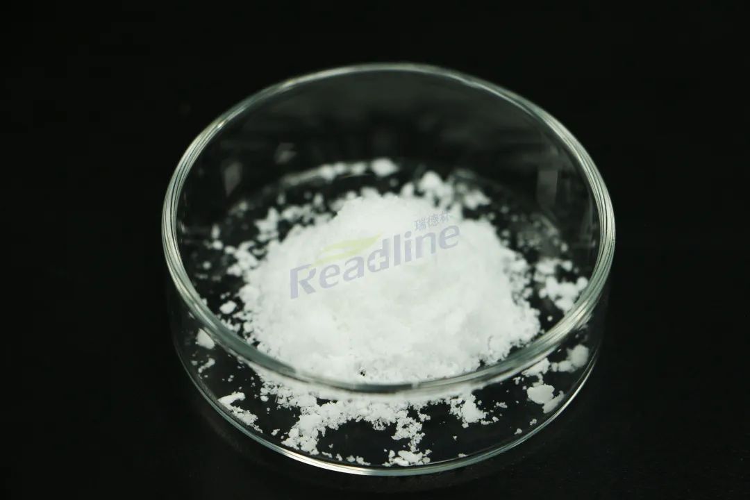 企业动态丨甘肃省领导率调研组莅临甘肃酶成品参观考察