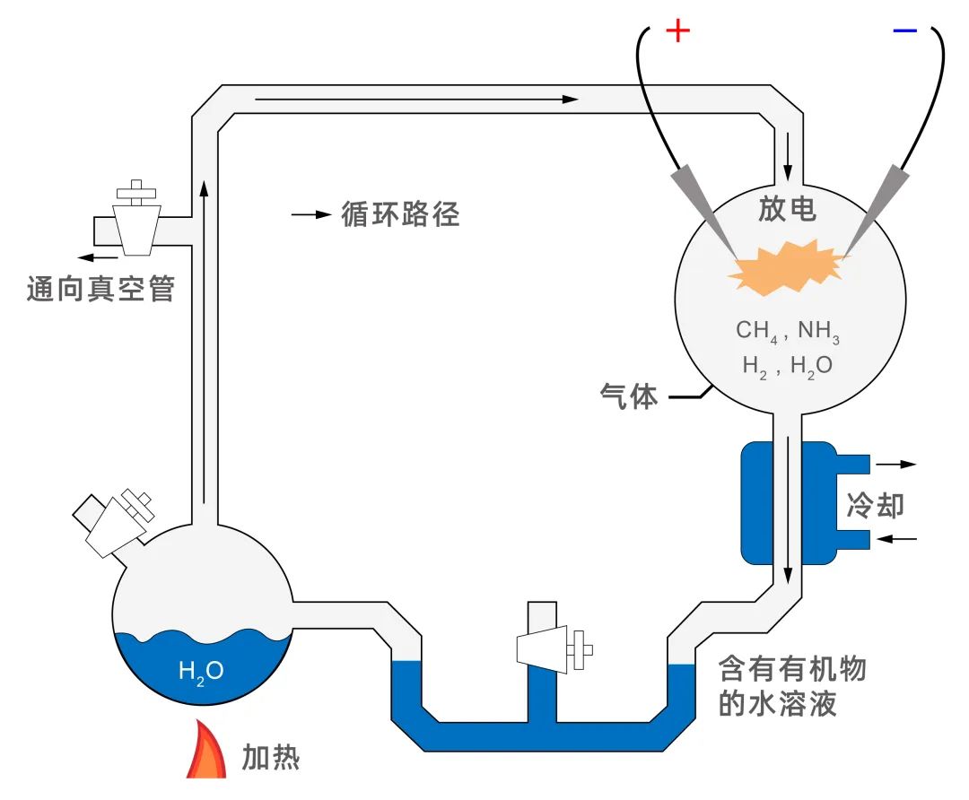 前沿资讯丨生命的起源：“RNA—多肽”的世界
