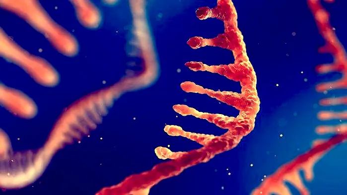 前沿资讯丨生命的起源：“RNA—多肽”的世界