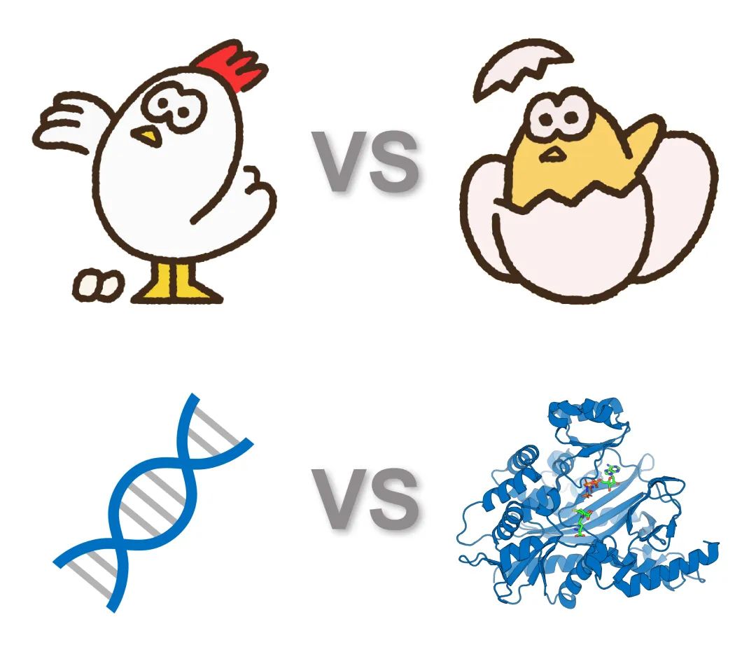 前沿资讯丨生命的起源：“RNA—多肽”的世界