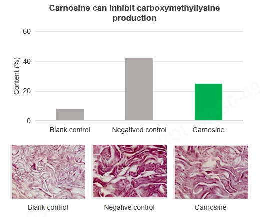 Carnosine