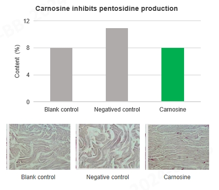 Carnosine