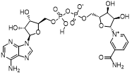 NAD+